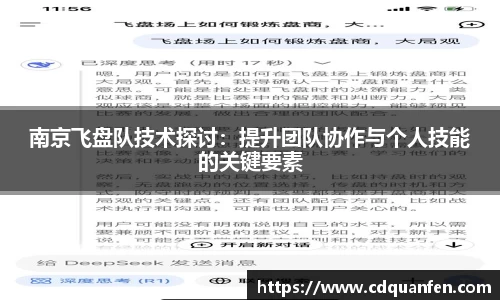 南京飞盘队技术探讨：提升团队协作与个人技能的关键要素